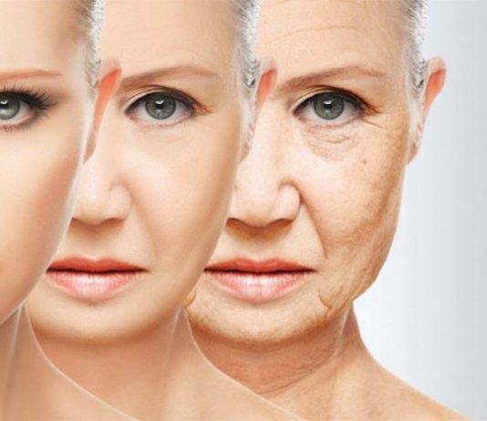 Вченим вдалося повністю зупинити старіння організму