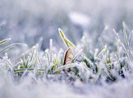 У Чехії зафіксували рекордно низьку від’ємну температуру