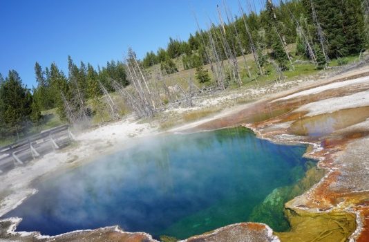 Вчені розповіли про небезпечну ситуацію в Єллоустоуні