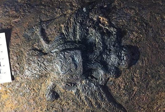 У Туреччині знайшли уламки військового корабля XVIII століття