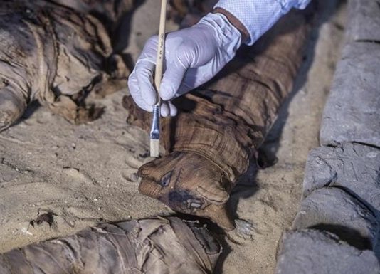 В Єгипті розкопали древню колекцію мумій кішок