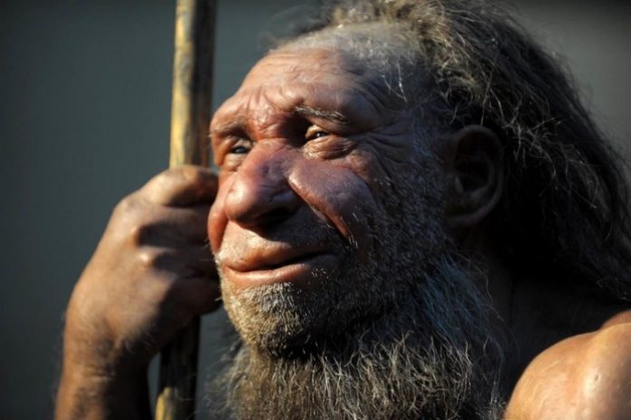 neanderthals-758x505