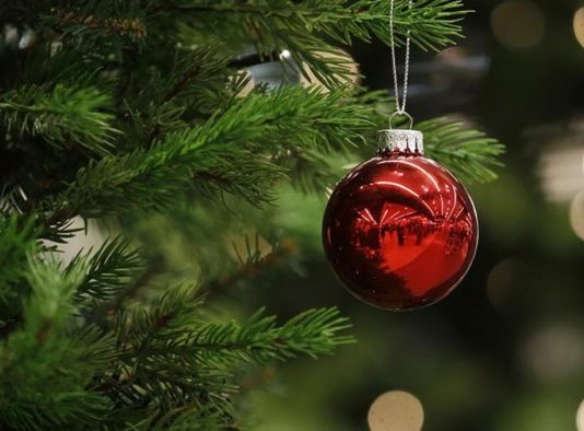 Вчені навчилися перетворювати новорічні ялинки в солодощі