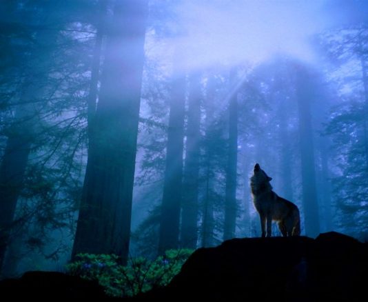 Археологи натрапили на прадавній предмет, який доводить: українськими селами гуляли вовкулаки