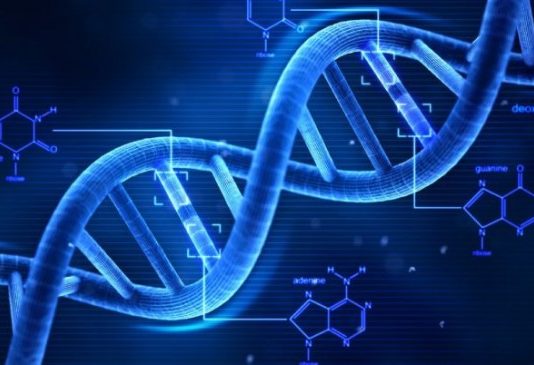 Вчені розповіли, чому люди стають багатими