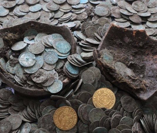 Стадо диких кабанів у Словаччині відкопало стародавній скарб