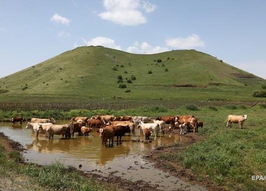 Вчені спрогнозували метанову катастрофу
