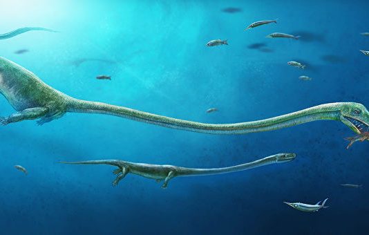 У пустелі Сахара знайшли останки гігантських морських істот