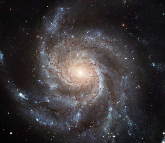 З центру Галактики вилетіла зірка зі швидкістю 1700 км/с