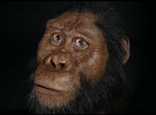 Череп найдавнішого австралопітека змінив погляди вчених на історію нашого виду