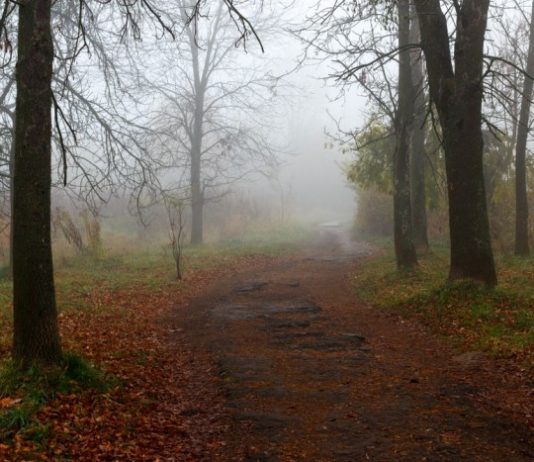 Яких «сюрпризів» чекати від погоди найближчим часом