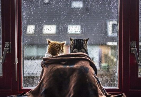 В Україну насуваються дощі та сильний вітер: синоптики дали прогноз погоди на 11 квітня