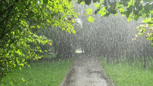 Не забуваємо парасолі – буде гроза: на вихідних знову зіпсується погода
