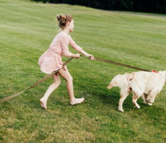 У Раді пропонують посилити штрафи для власників тварин за ряд порушень