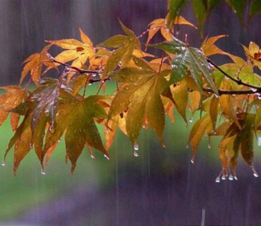 Українців попередили про циклон, що насувається