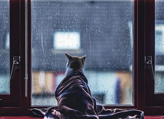 В Україну йдуть сніг і морози: синоптики попередили про значне похолодання