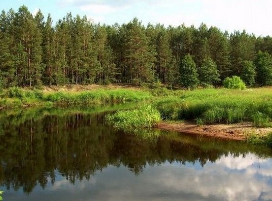 Держекоінспекція планує вдвічі підвищити штрафи за екопорушення у заповідниках