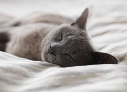 Вихідні в лютому 2021 року в Україні: скільки будемо відпочивати