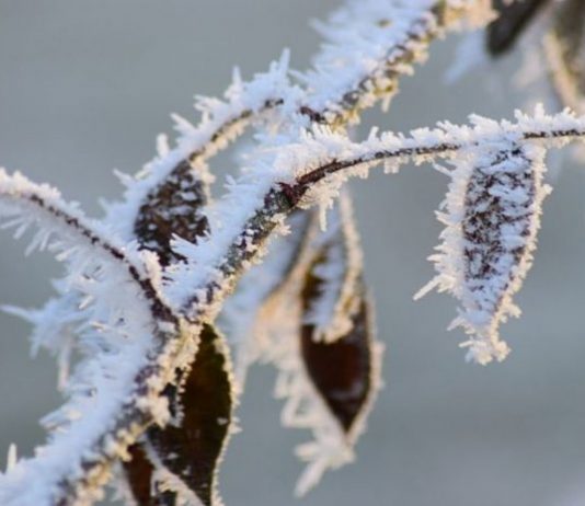 Синоптики попередили українців про нову хвилю морозів: прогноз до кінця лютого