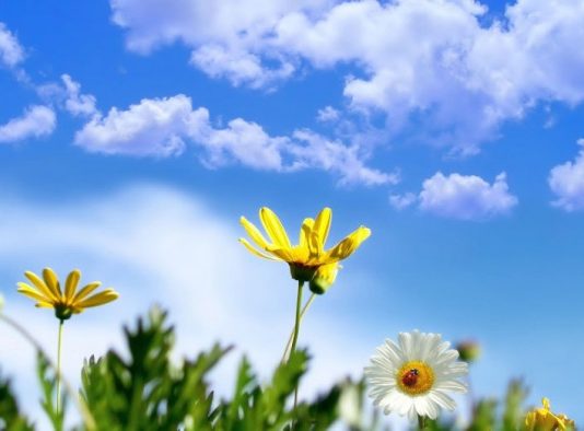 Синоптики розповіли, якою буде весна в Україні цього року