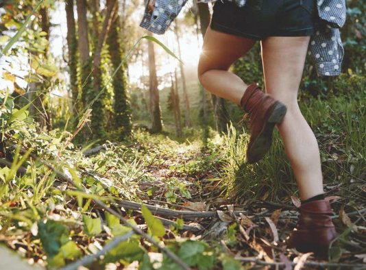 Українцям пригрозили величезними штрафами за відвідування лісів у воєнний час